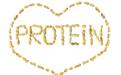 The Ultimate Guide To Protein: How Much Do You Need Each Day?